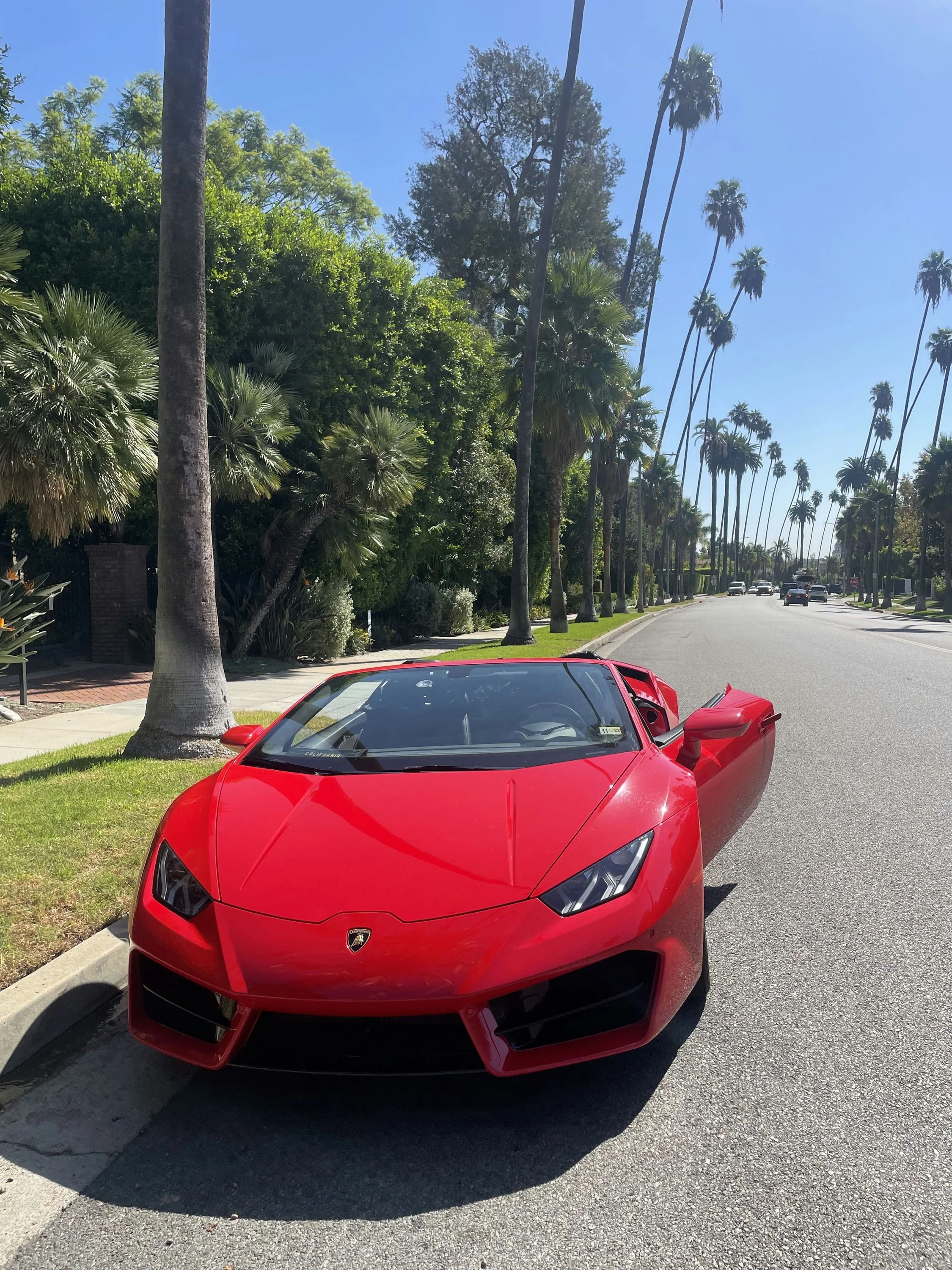 Ride or Drive a Lamborghini: 30-Minute Hollywood Sign Viewpoint Tour - Image 3