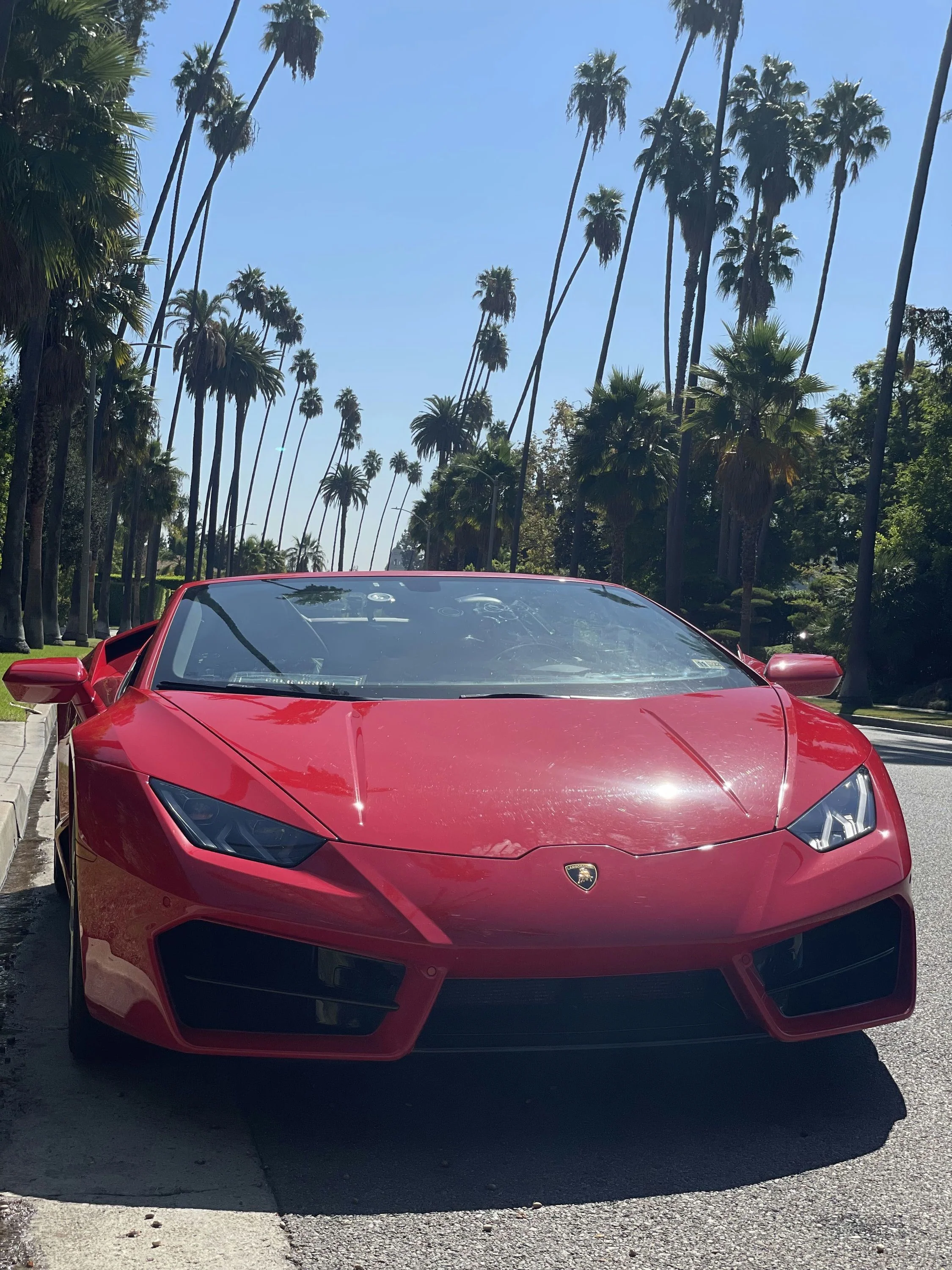 Ride or Drive a Lamborghini: 30-Minute Hollywood Sign Viewpoint Tour - Image 5