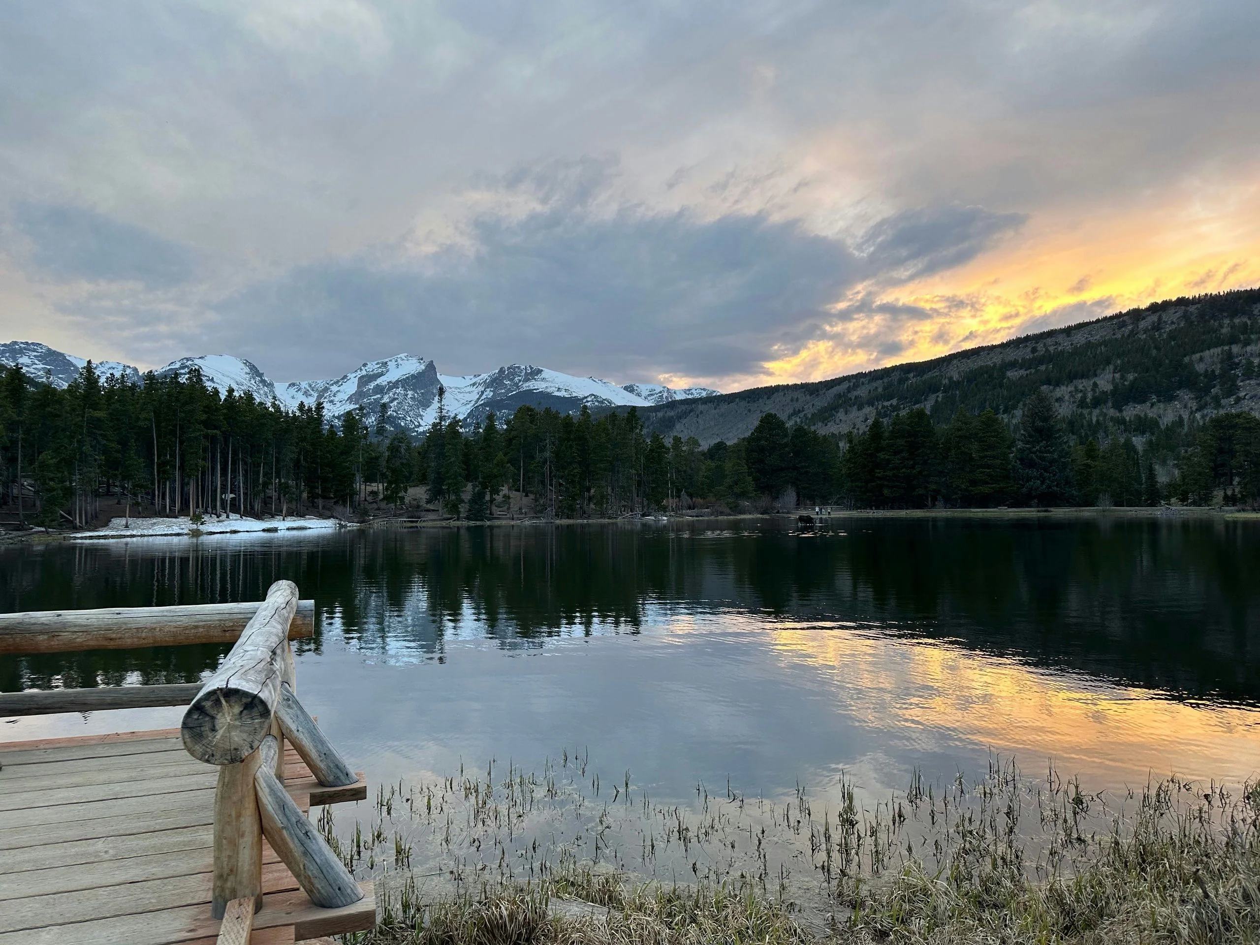 Rocky Mountain National Park Experience - Image 2