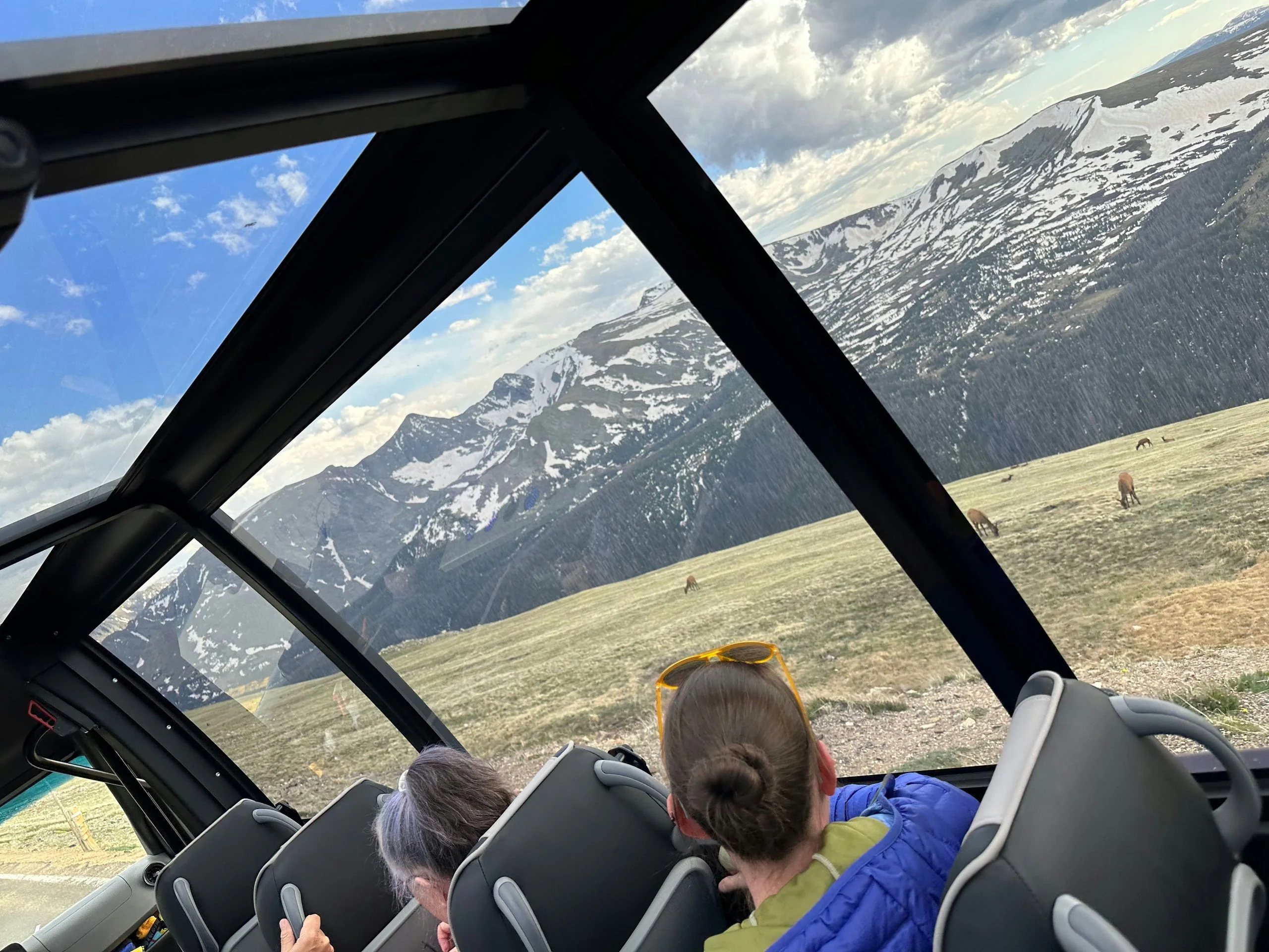 Rocky Mountain National Park Experience - Image 4