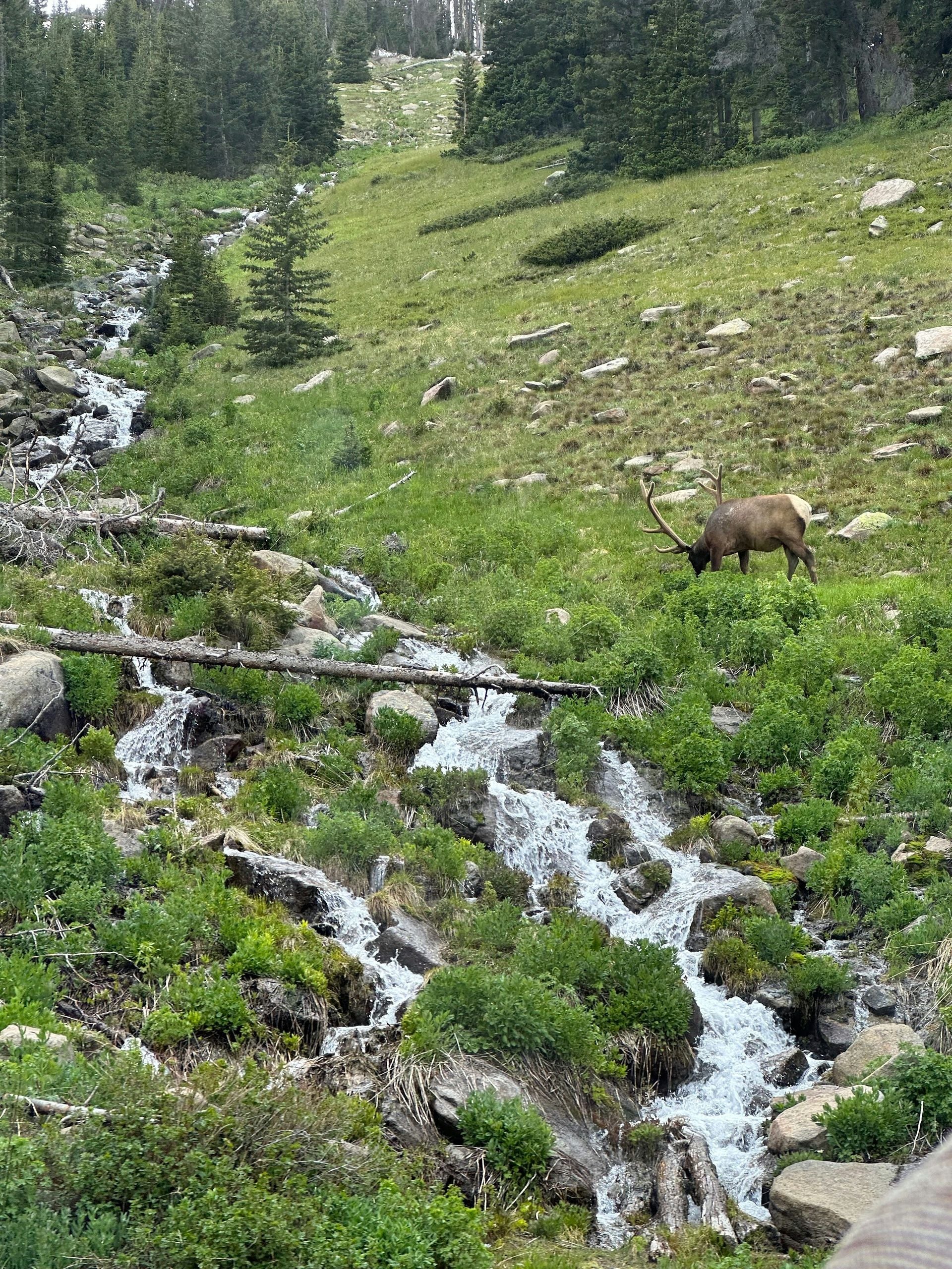 Rocky Mountain National Park Experience - Image 5