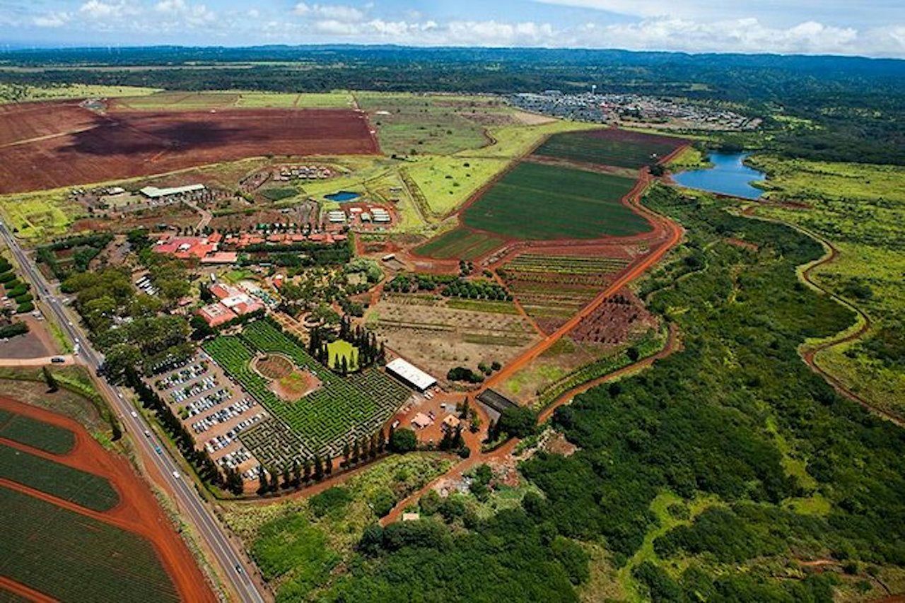 Royal Crown of Oahu Helicopter Tour - Image 7