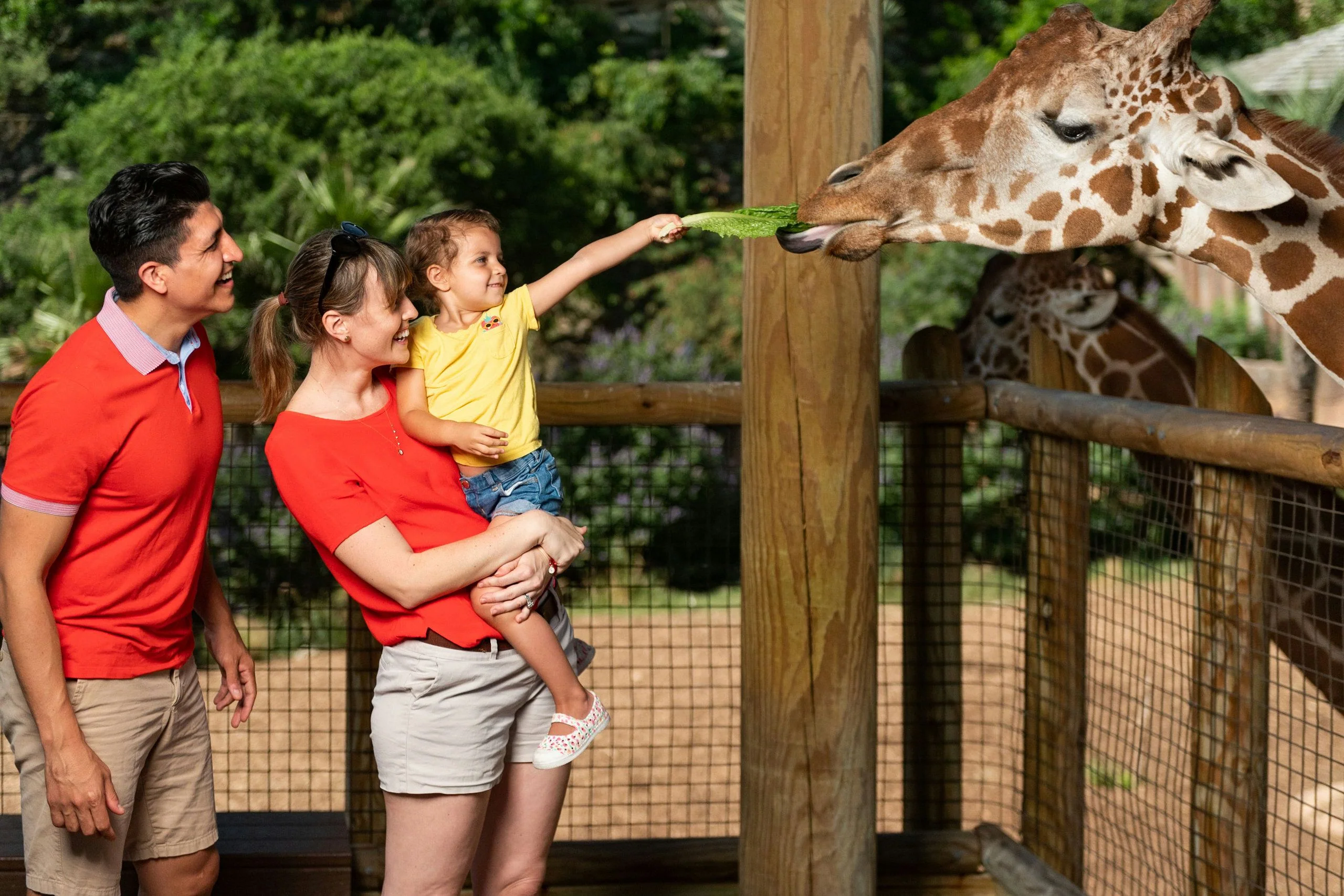 Go City San Antonio Explorer Pass - 2 Attractions - Image 2