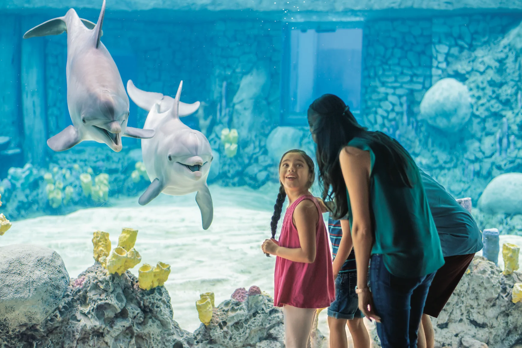 Go City San Antonio Explorer Pass - 2 Attractions - Image 4