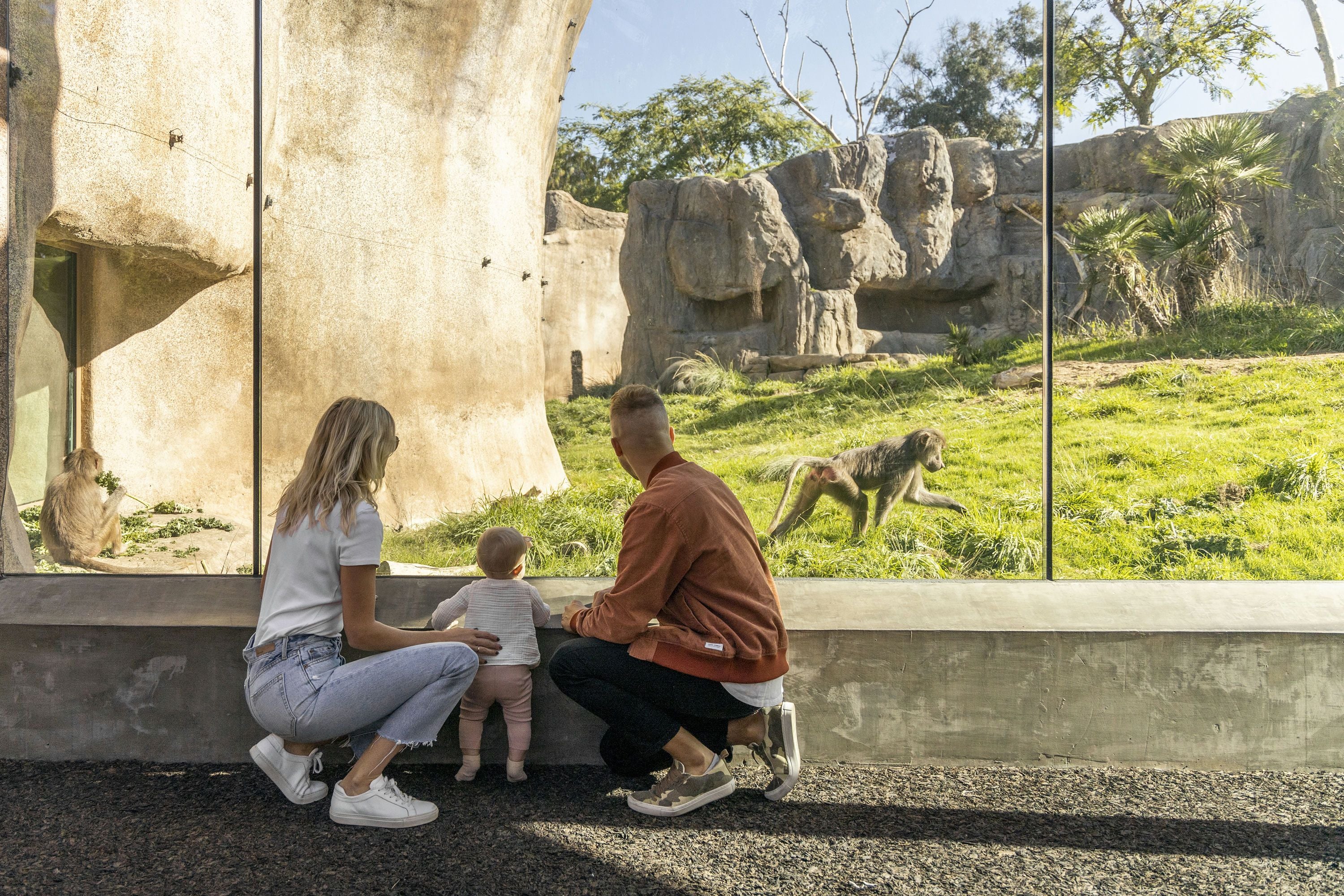 Go City San Diego Explorer Pass - 3 Attractions - Image 3
