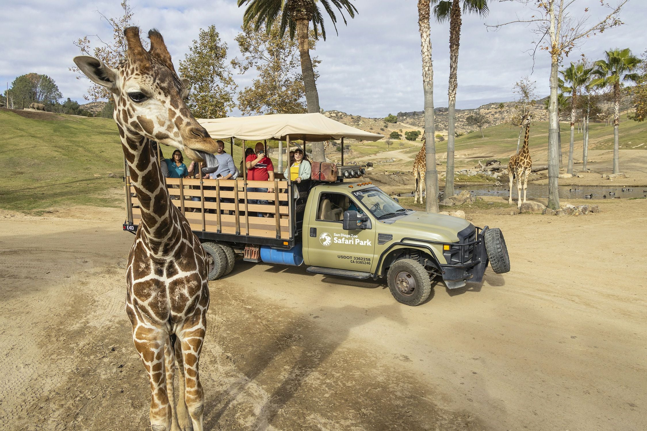 San Diego Zoo Safari Park 1 Day Pass