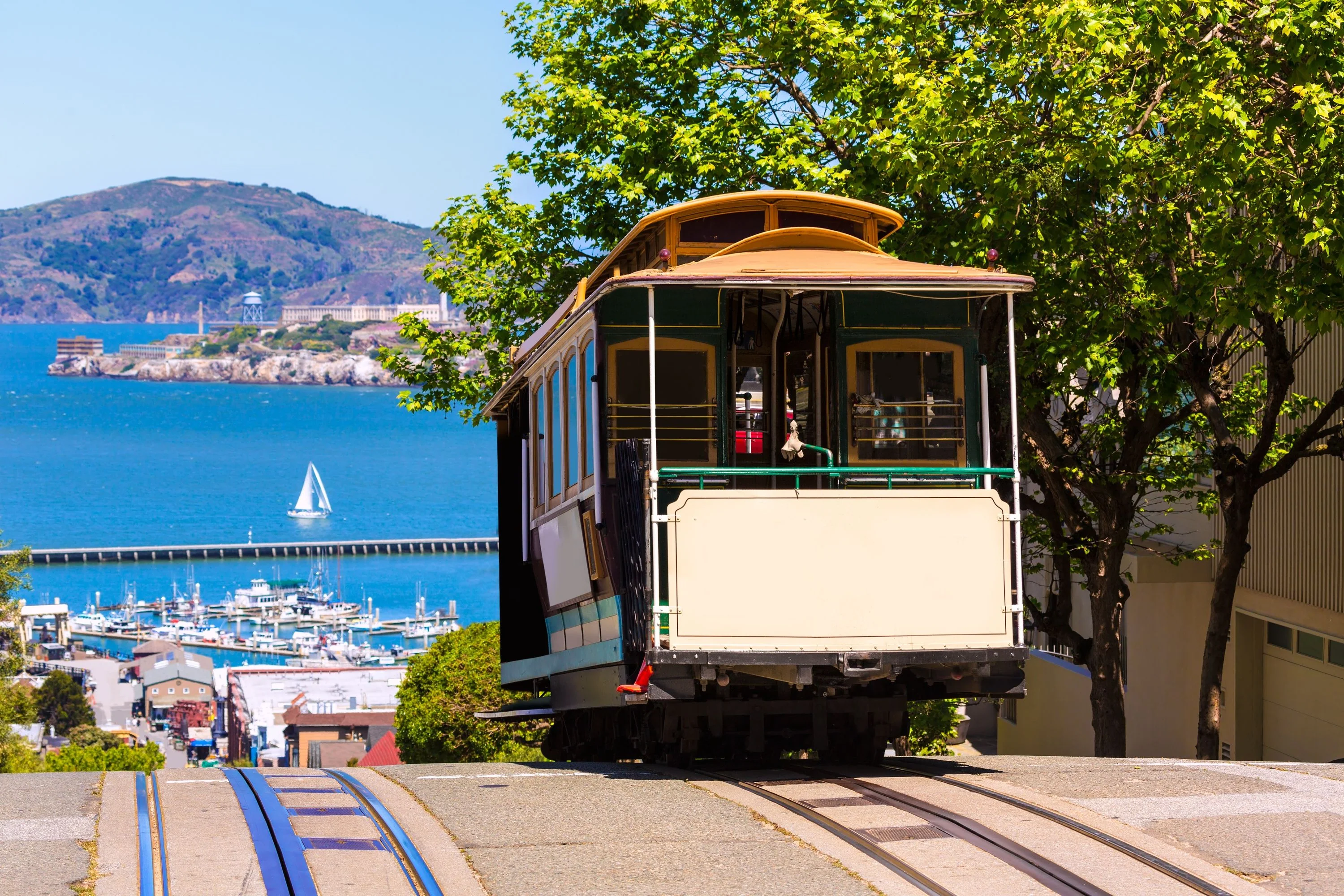 San Francisco City Tour with Cruise - Image 4
