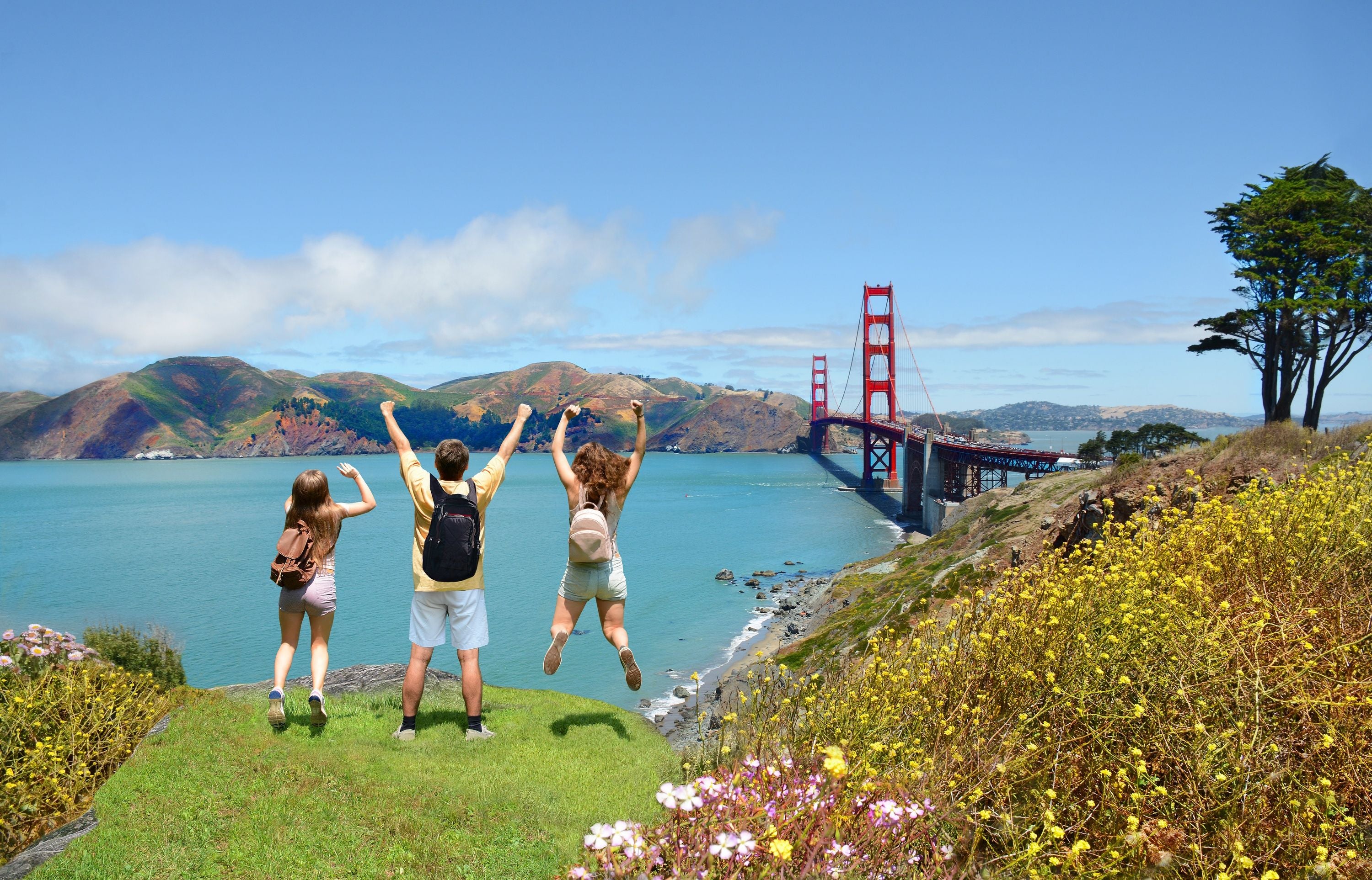 San Francisco City Tour with Cruise - Image 6