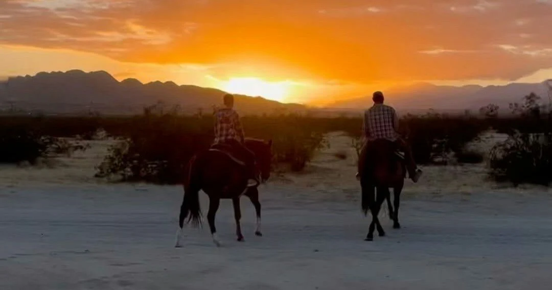 Scenic Photoshoot with Horses - Image 2