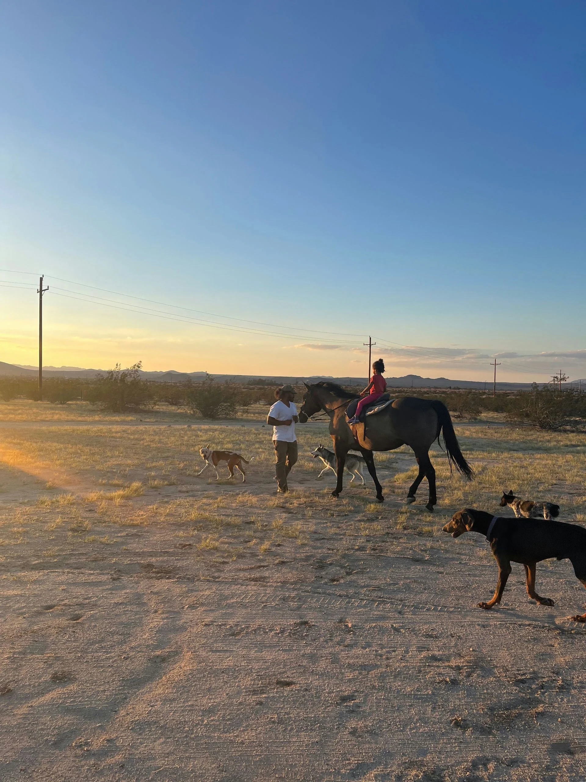 Scenic Photoshoot with Horses - Image 4