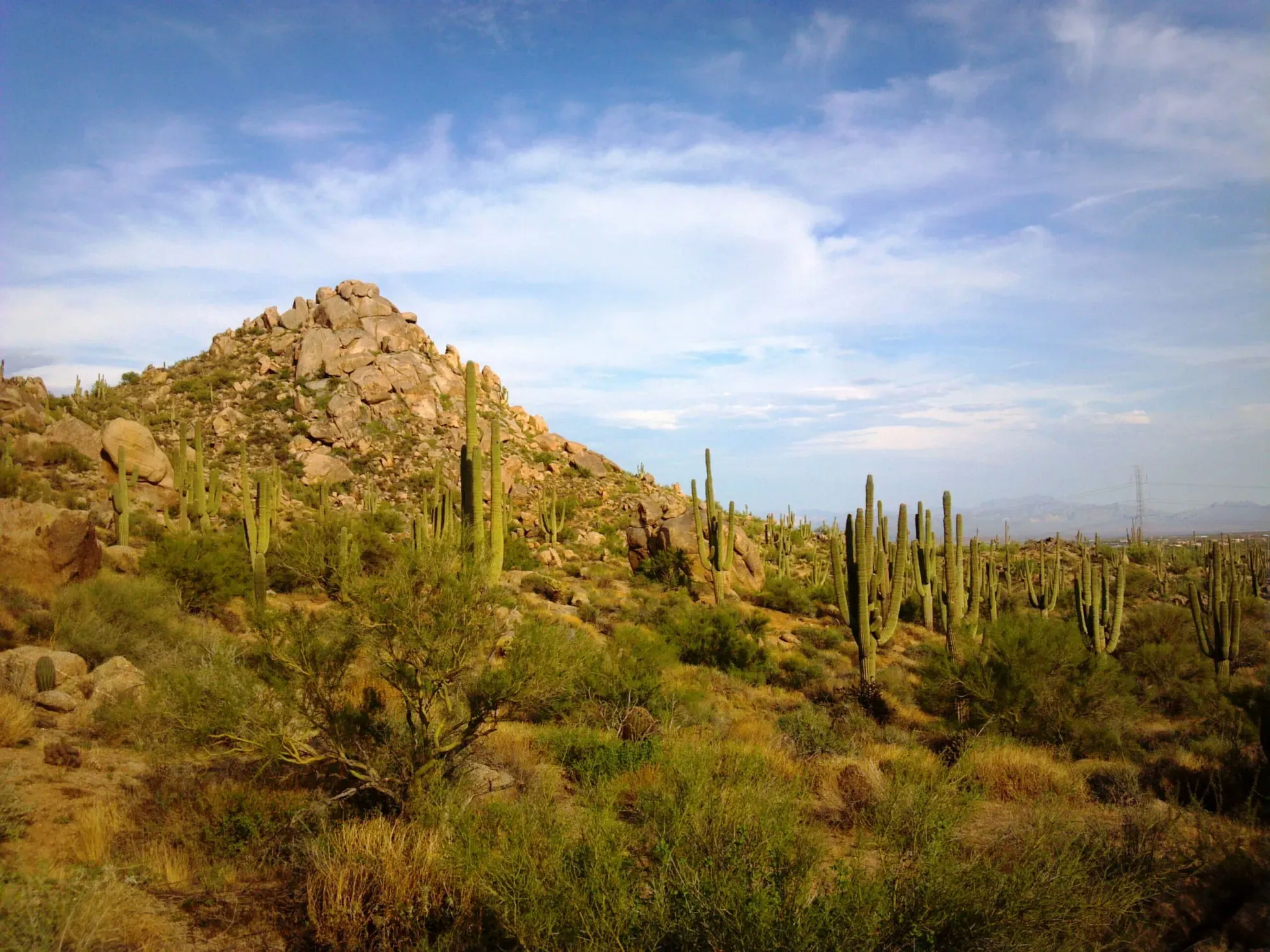 Scottsdale Desert Classic Hiking Adventure - Image 4