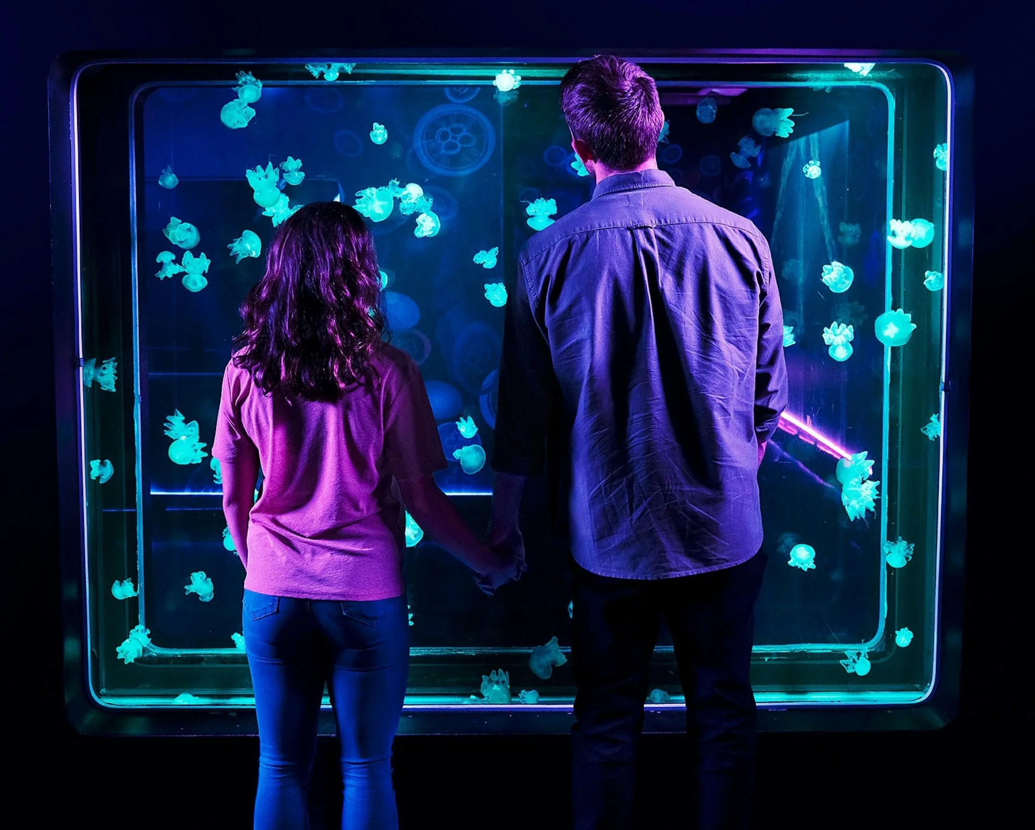 SEA LIFE Orlando Aquarium Admission - Image 2