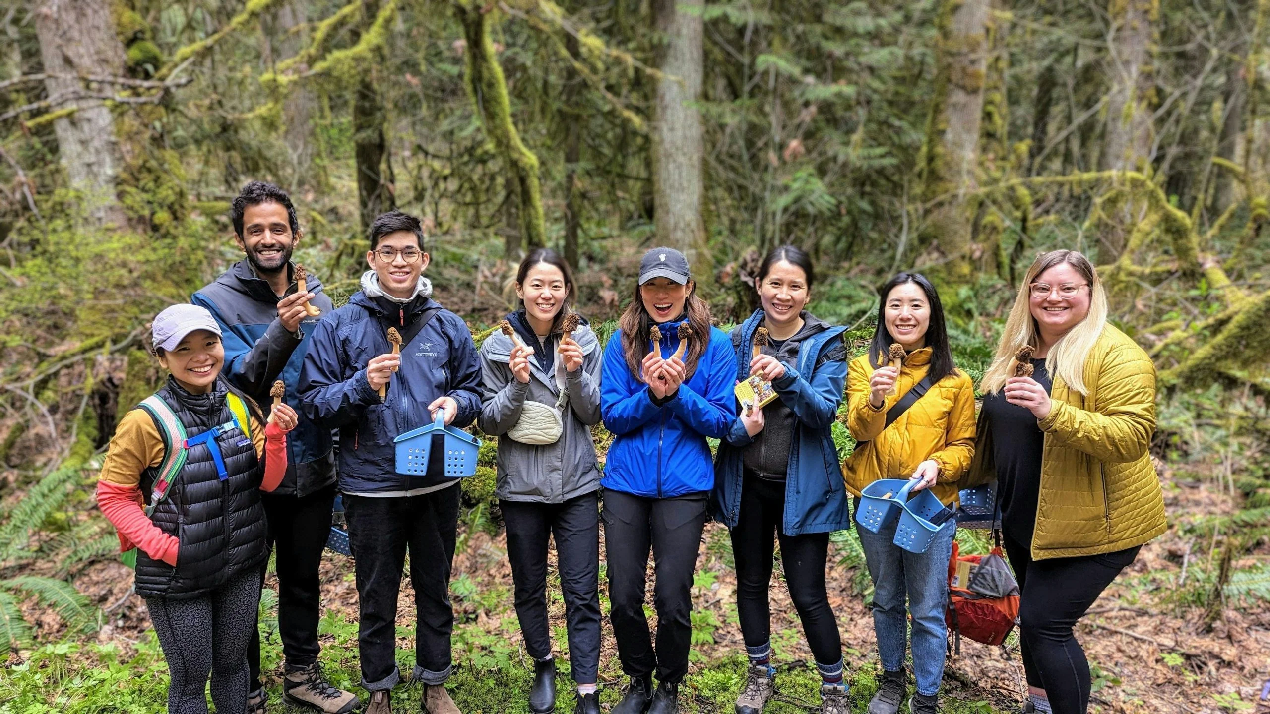 Seattle Mushroom Foraging 101 - Image 3