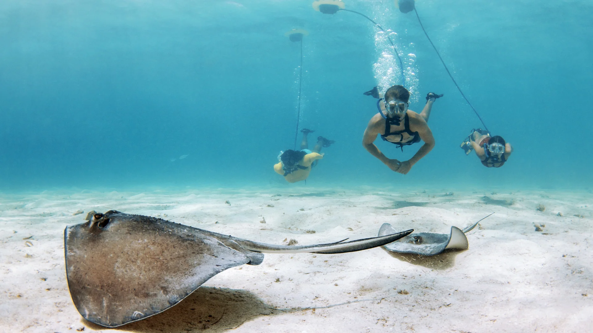 Shallow Water Intro to Diving Tour - Image 2