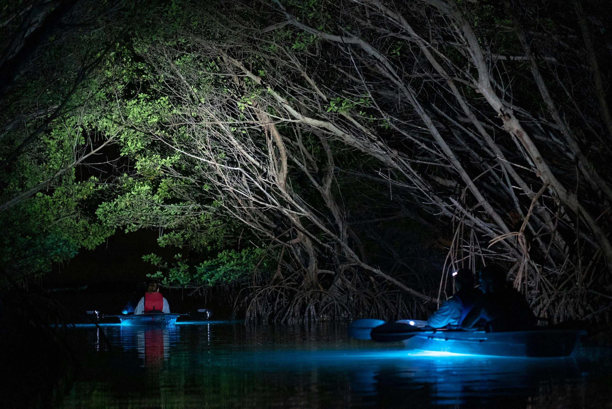 Shell Key Preserve Clear Kayak Glow Tour - Image 8