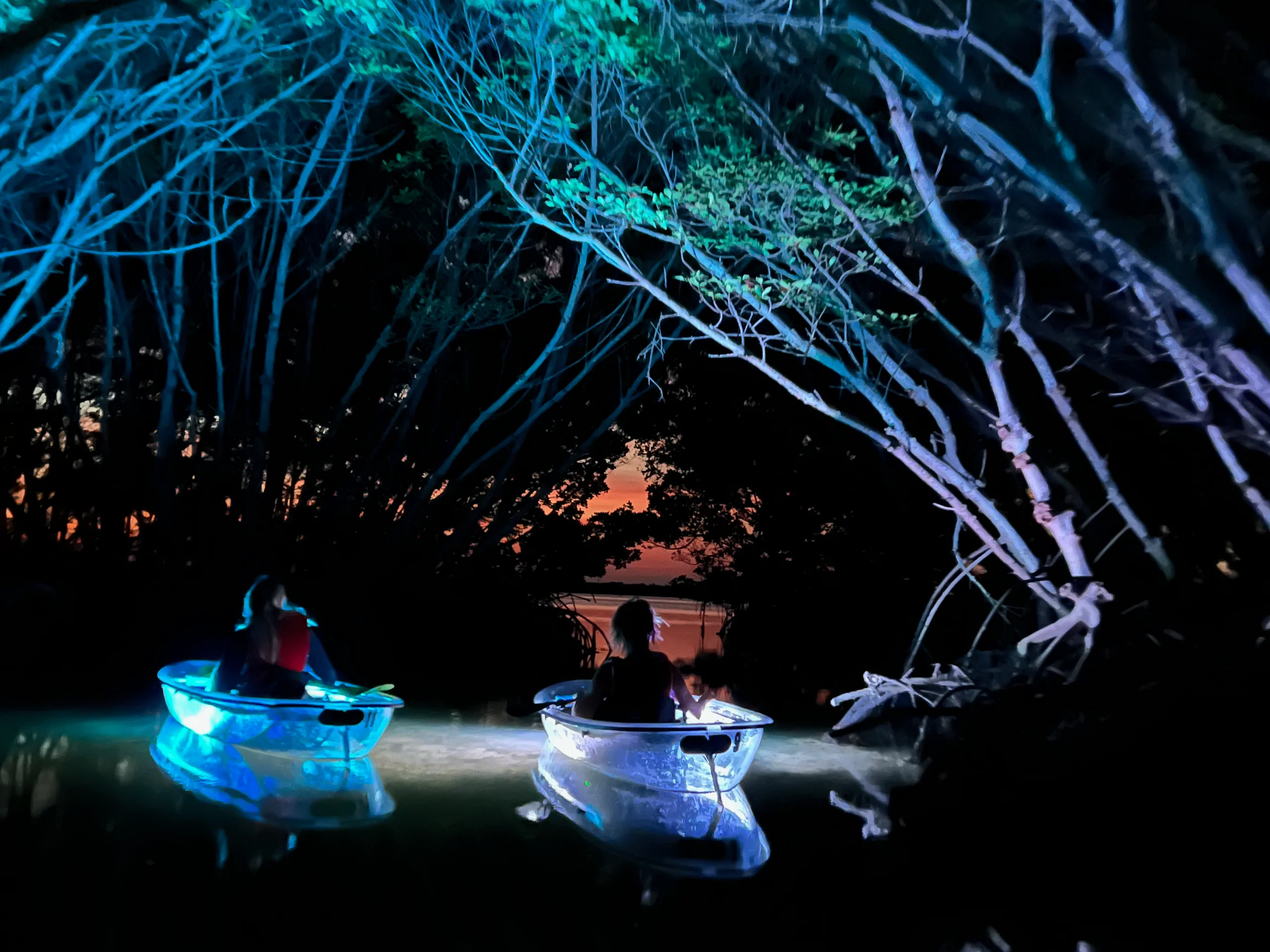 Shell Key Preserve Clear Kayak Glow Tour - Image 9