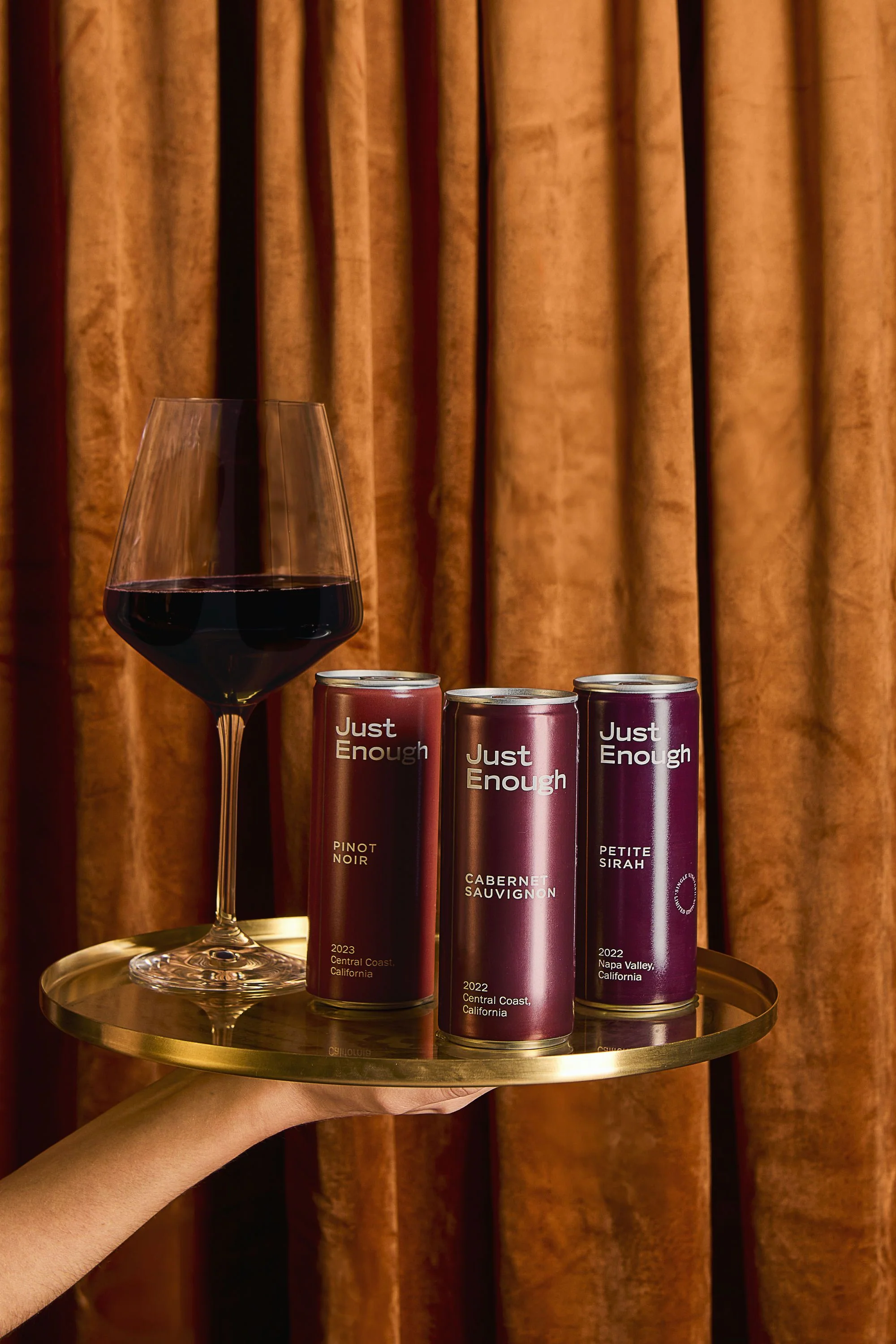 Sip at Home: Red Wine Tasting with a Virtual Wine Expert - Image 5