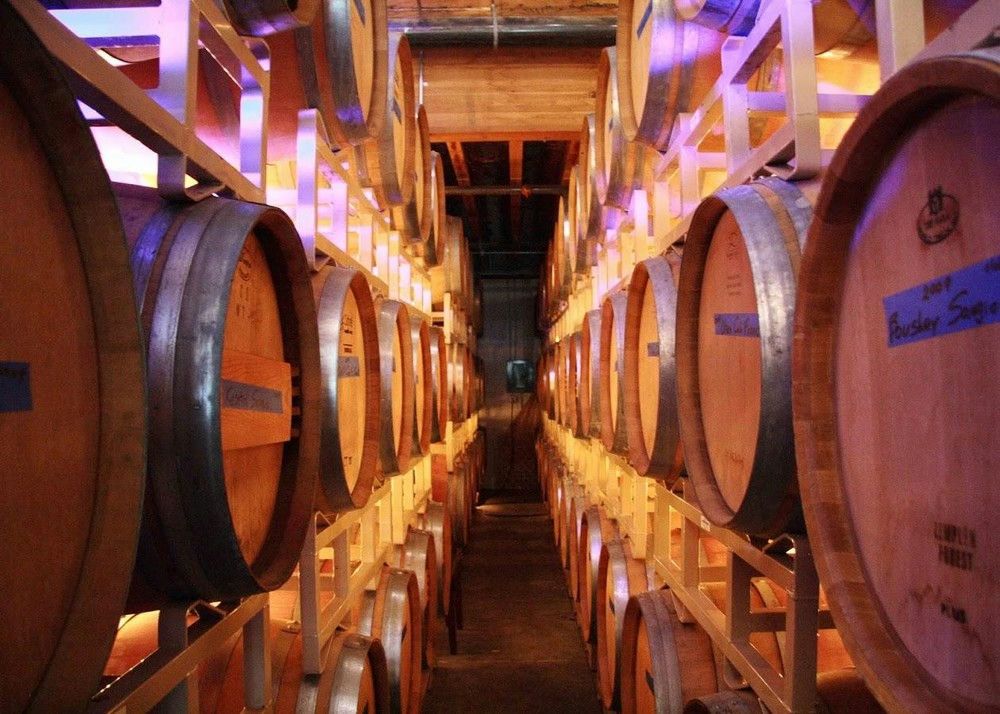 Snoqualmie Falls & Washington Wine Tasting Summer Tour - Image 3