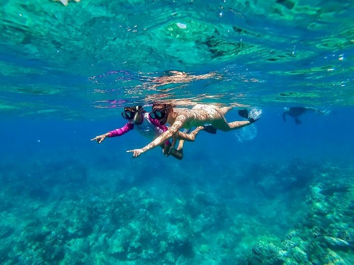 Snorkel Adventure Catamaran Cruise in Kawaihae Harbor - Image 2