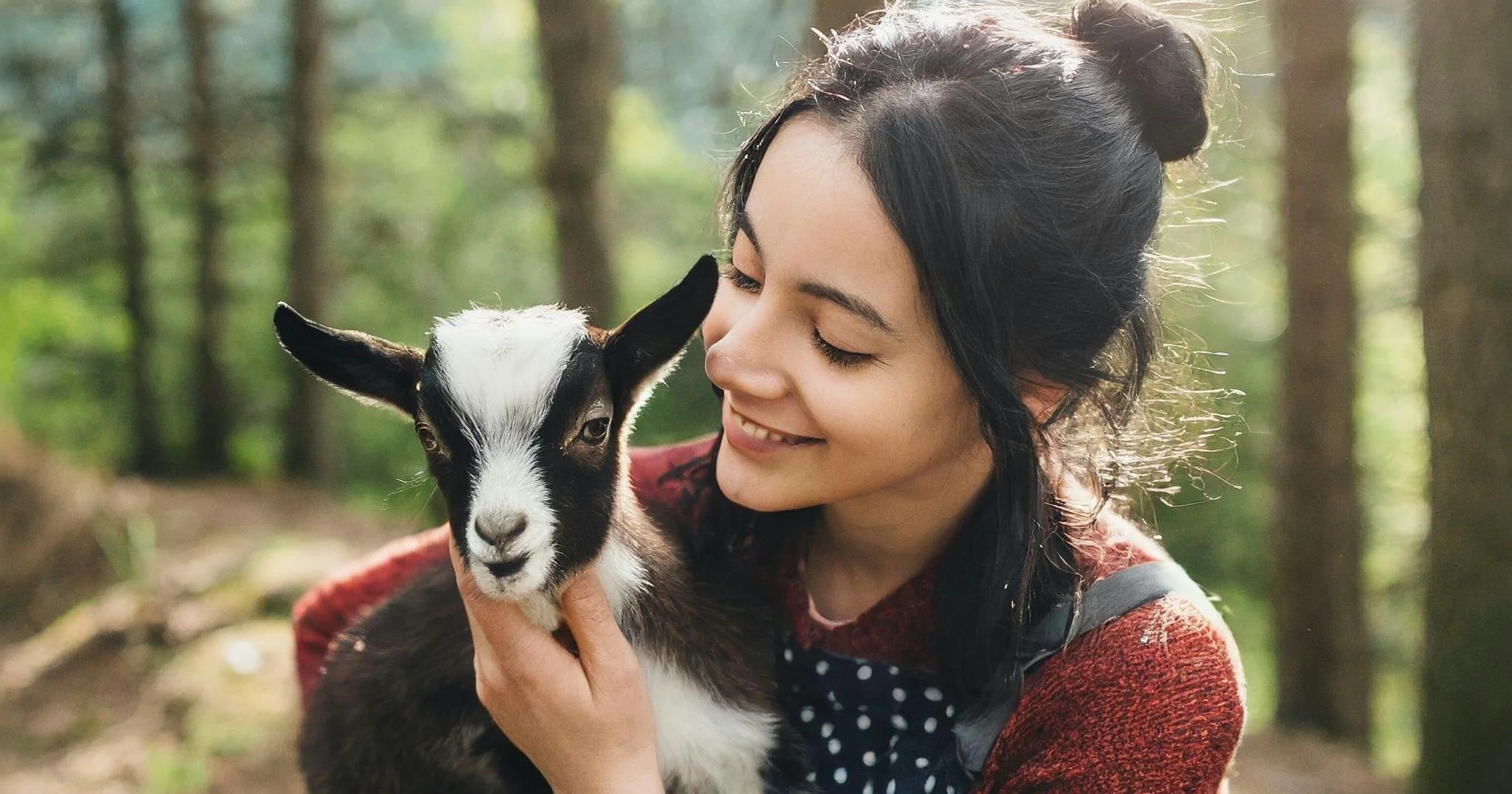 Snuggle and Play with Baby Goats - Image 2