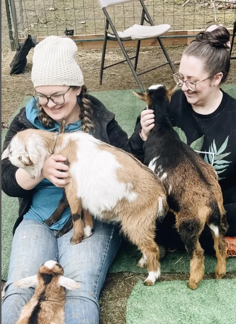 Snuggle and Play with Baby Goats - Image 5