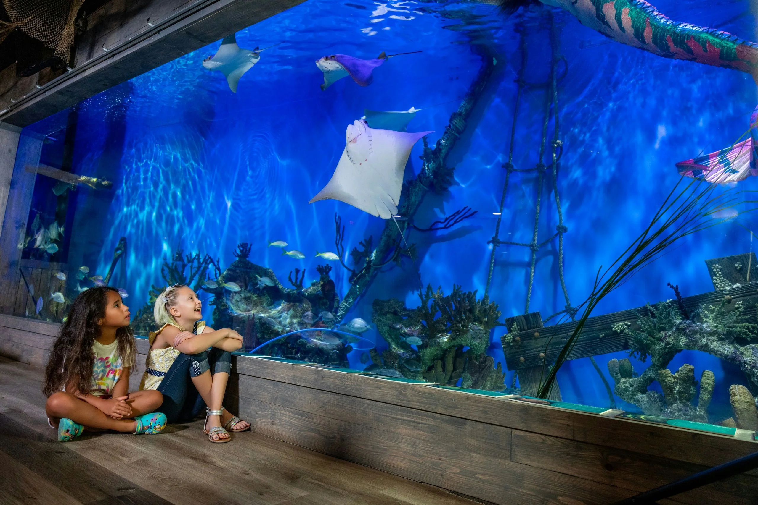 Stingray Encounter Adventure - Image 2