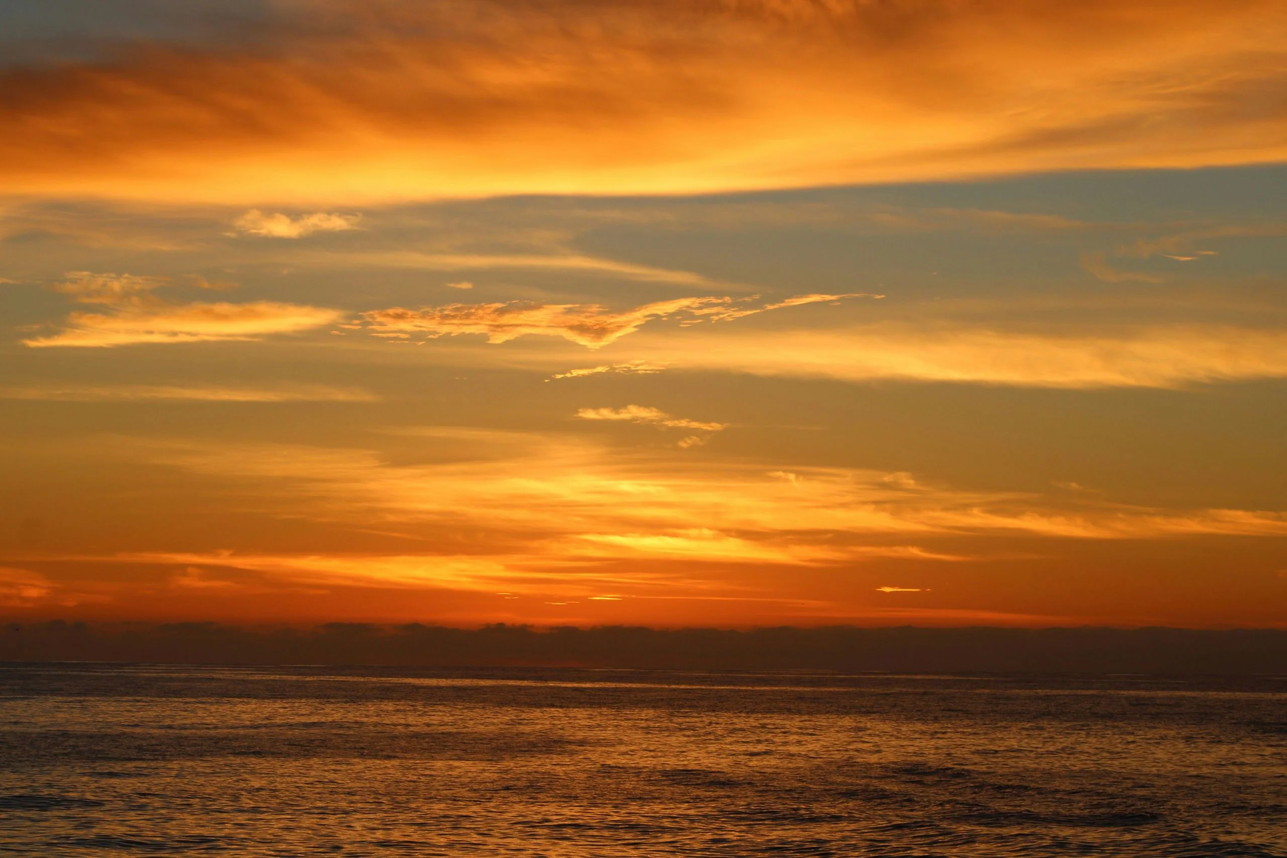 Sunset Cruise with VIP Seating on the Captain's Bridge - Image 10