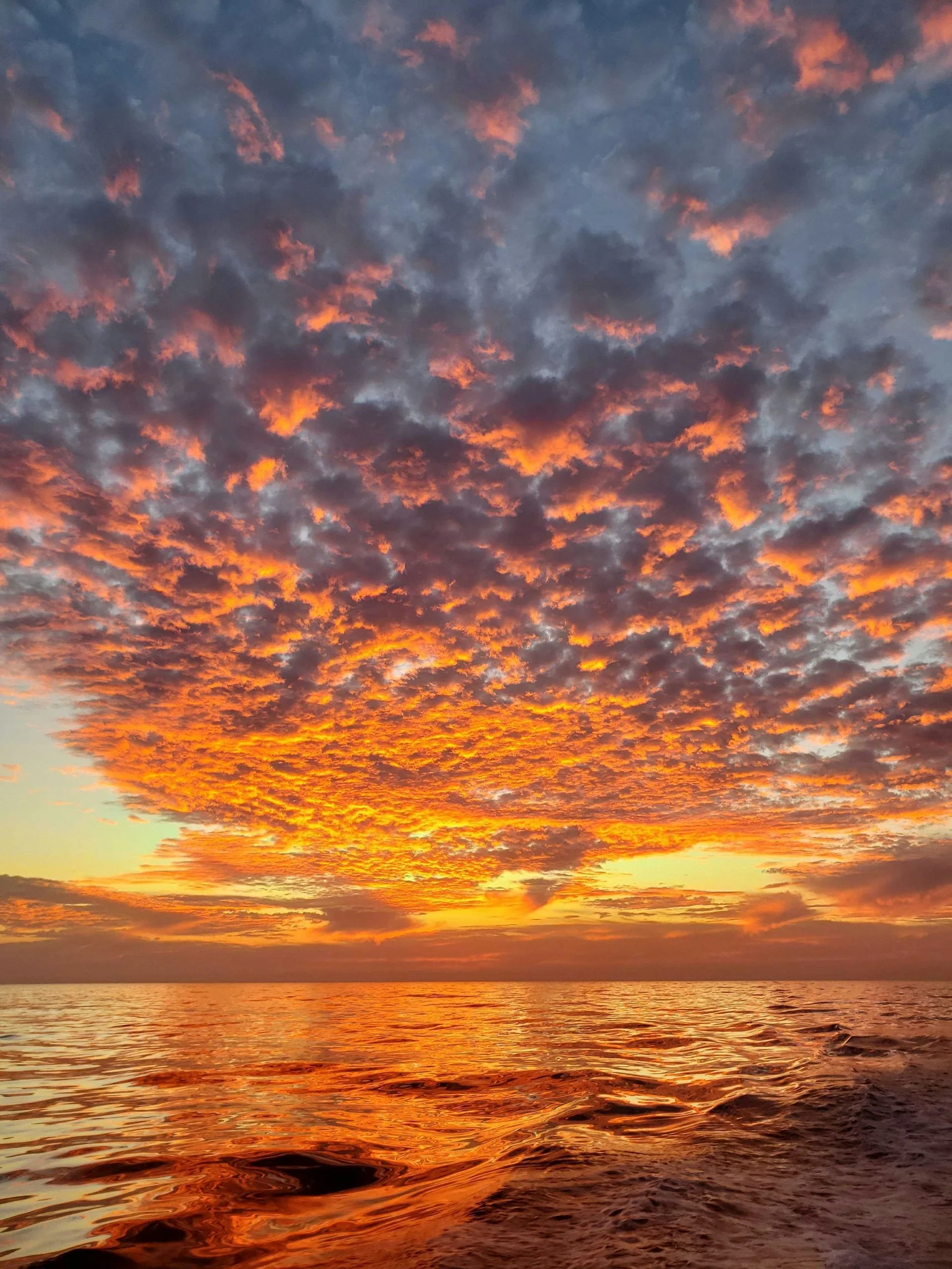 Sunset Cruise with VIP Seating on the Captain's Bridge - Image 9