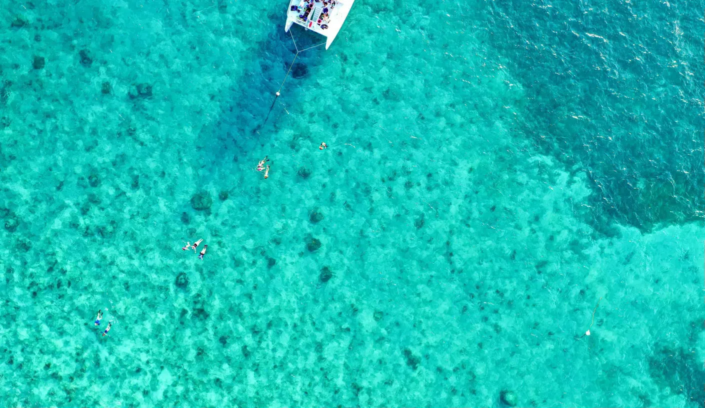 Sunset Dolphin Watch, Snorkeling & Unlimited Beer - Image 2
