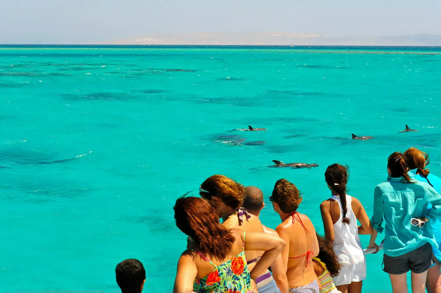 Sunset Dolphin Watch, Snorkeling & Unlimited Beer - Image 4