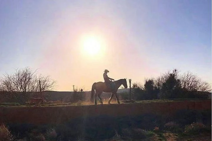 Wild West Sunset Horseback Ride with Dinner - Image 3