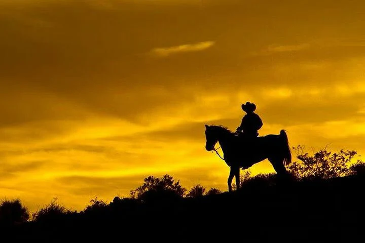 Wild West Sunset Horseback Ride with Dinner - Image 7