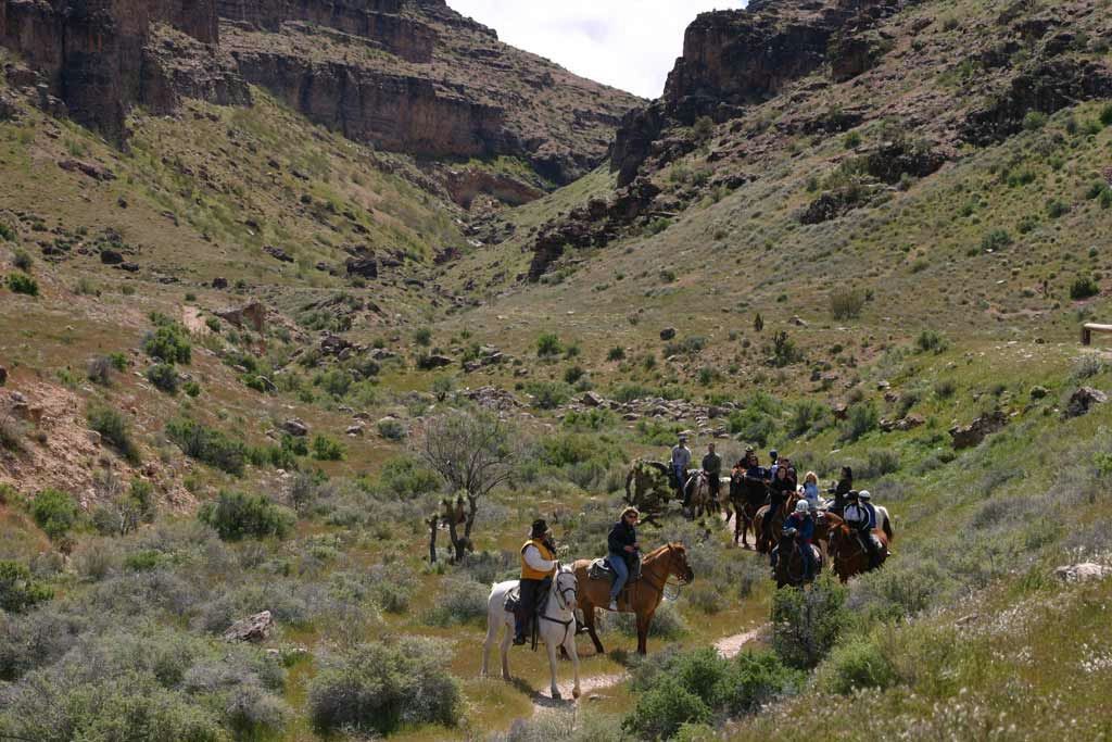 Sunset Horseback Trial Ride & Western BBQ - Image 5