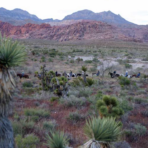 Sunset Horseback Trial Ride & Western BBQ - Image 7