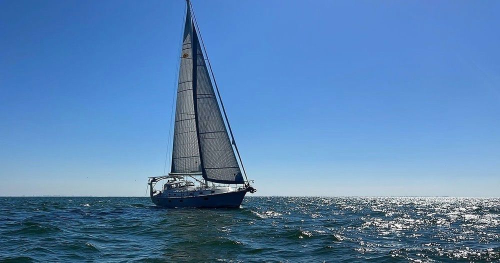 Tampa Bay BYOB Afternoon Private Sail - Image 6