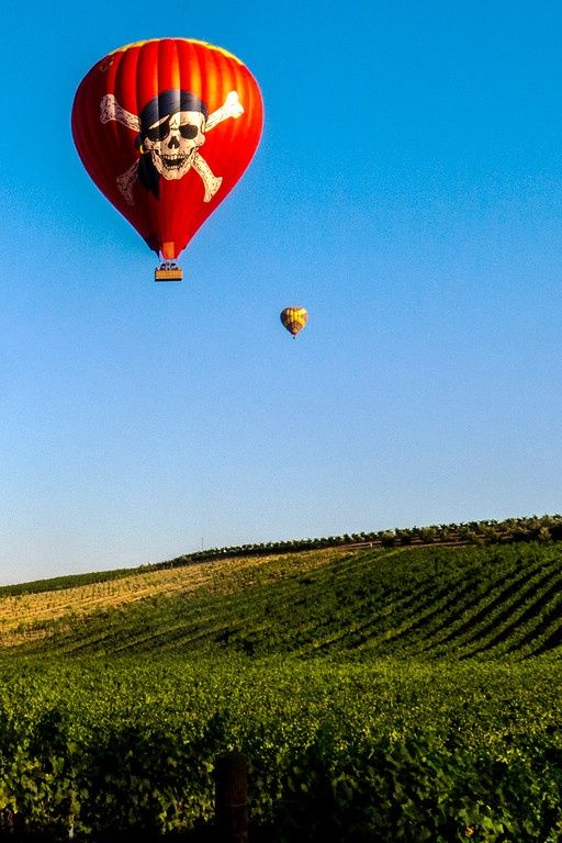 Temecula Sunrise Balloon Ride with Champagne Toast - Image 4