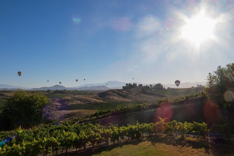 Temecula Sunrise Balloon Ride with Champagne Toast - Image 7