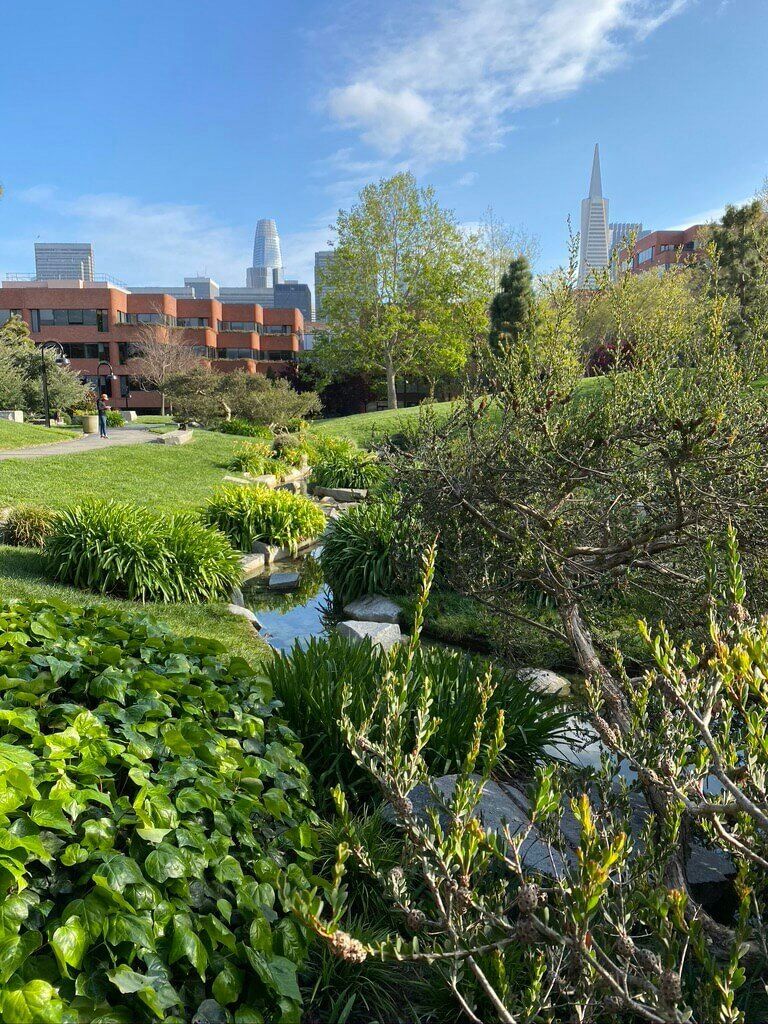 The Old Waterfront & Telegraph Hill Walking Tour - Image 2