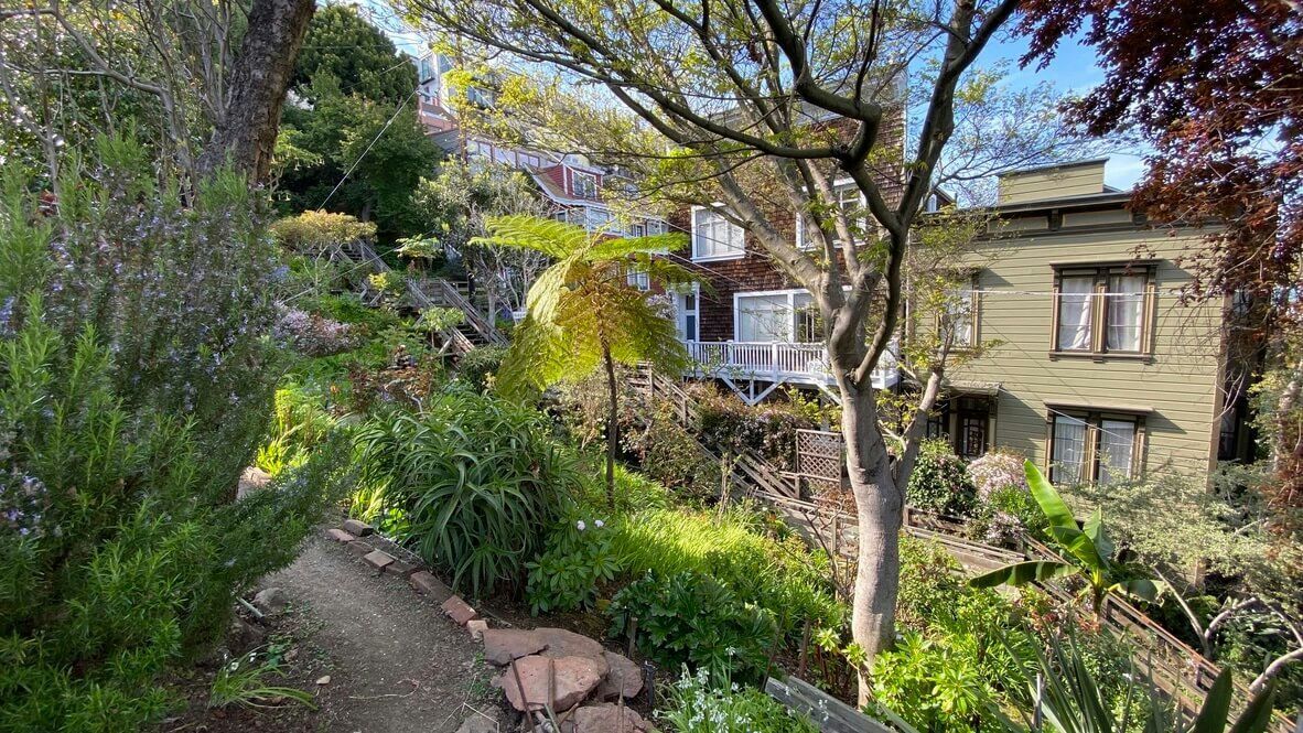 The Old Waterfront & Telegraph Hill Walking Tour - Image 7