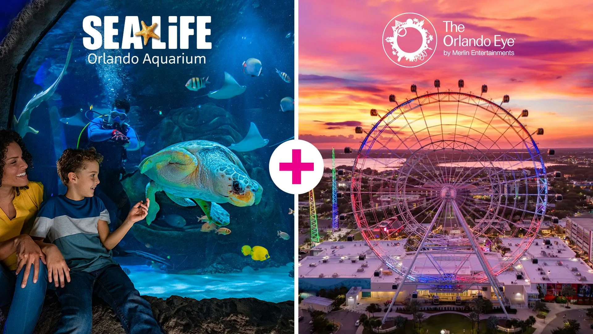 The Orlando Eye & SEA LIFE Orlando Admission
