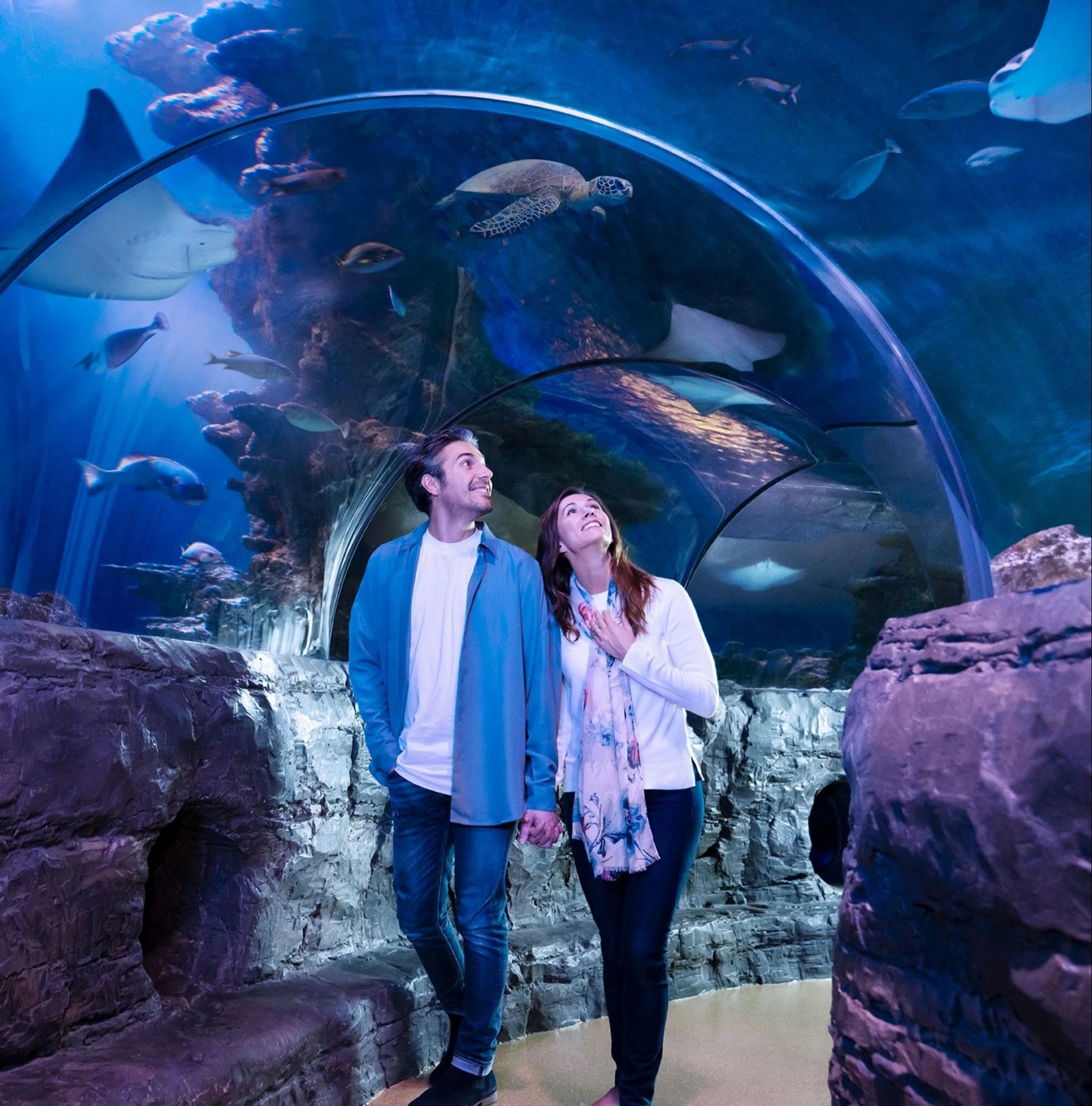 The Orlando Eye & SEA LIFE Orlando Admission - Image 4