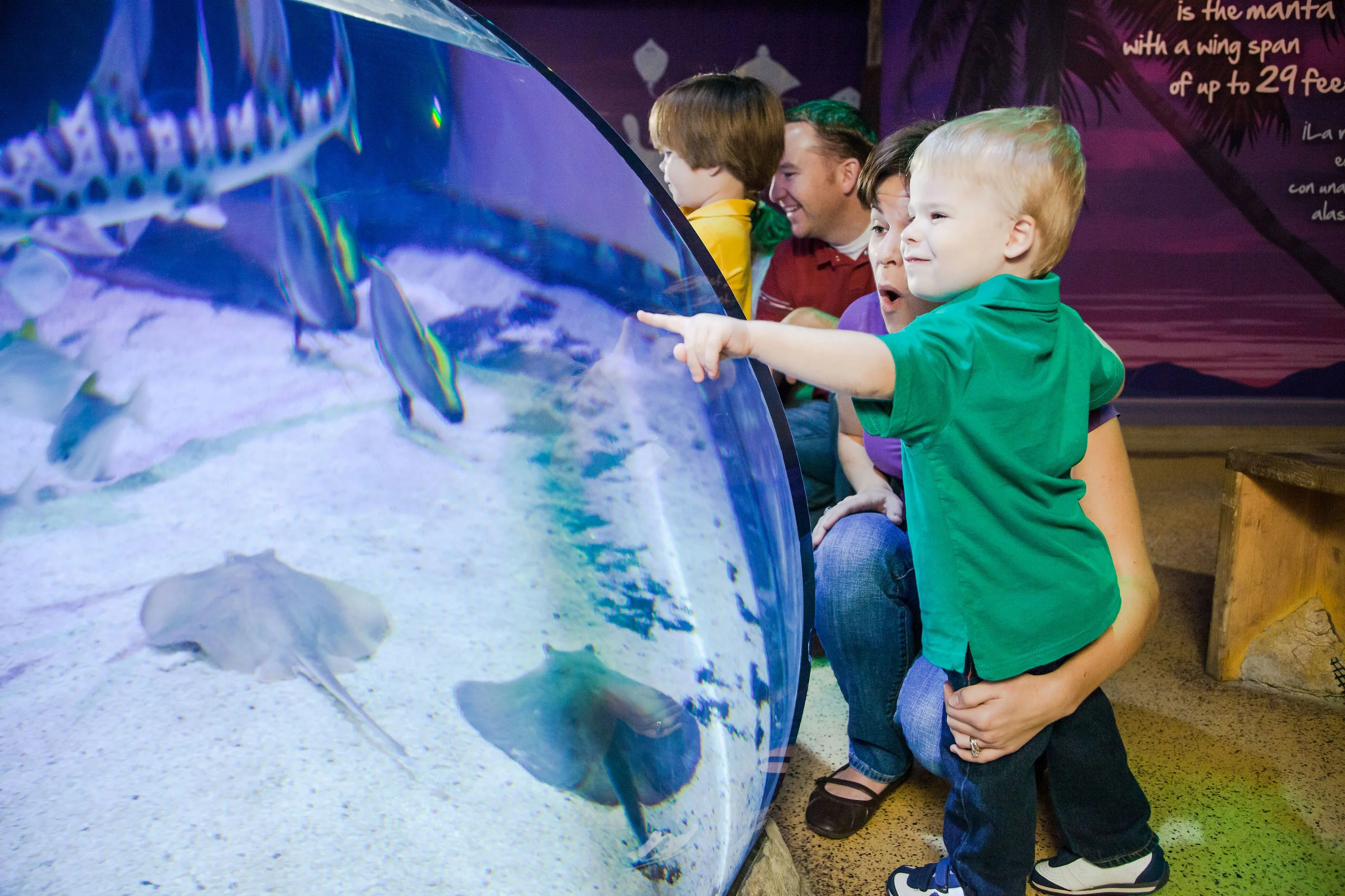 The Orlando Eye & SEA LIFE Orlando Admission - Image 6