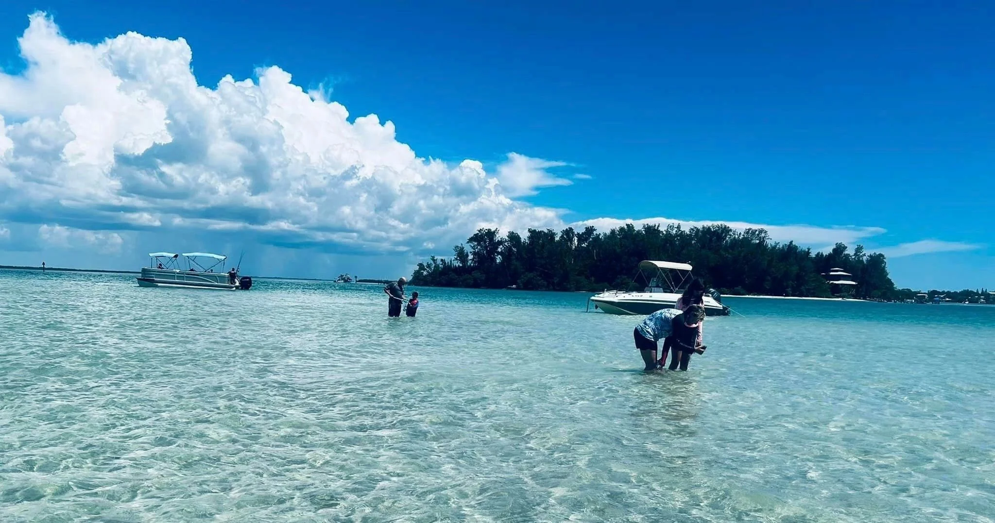 Three Hour Snorkel, Sandbar & Dolphin Tour