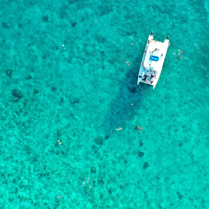 Two Reef Snorkel Tour with Sunset Cruise, Beer, Champagne & Wine - Image 2