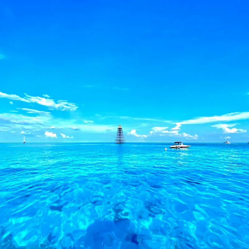 Two Reef Snorkel Tour with Sunset Cruise, Beer, Champagne & Wine - Image 4