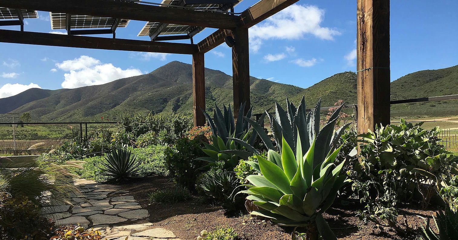 Valle De Guadalupe Wine Tasting