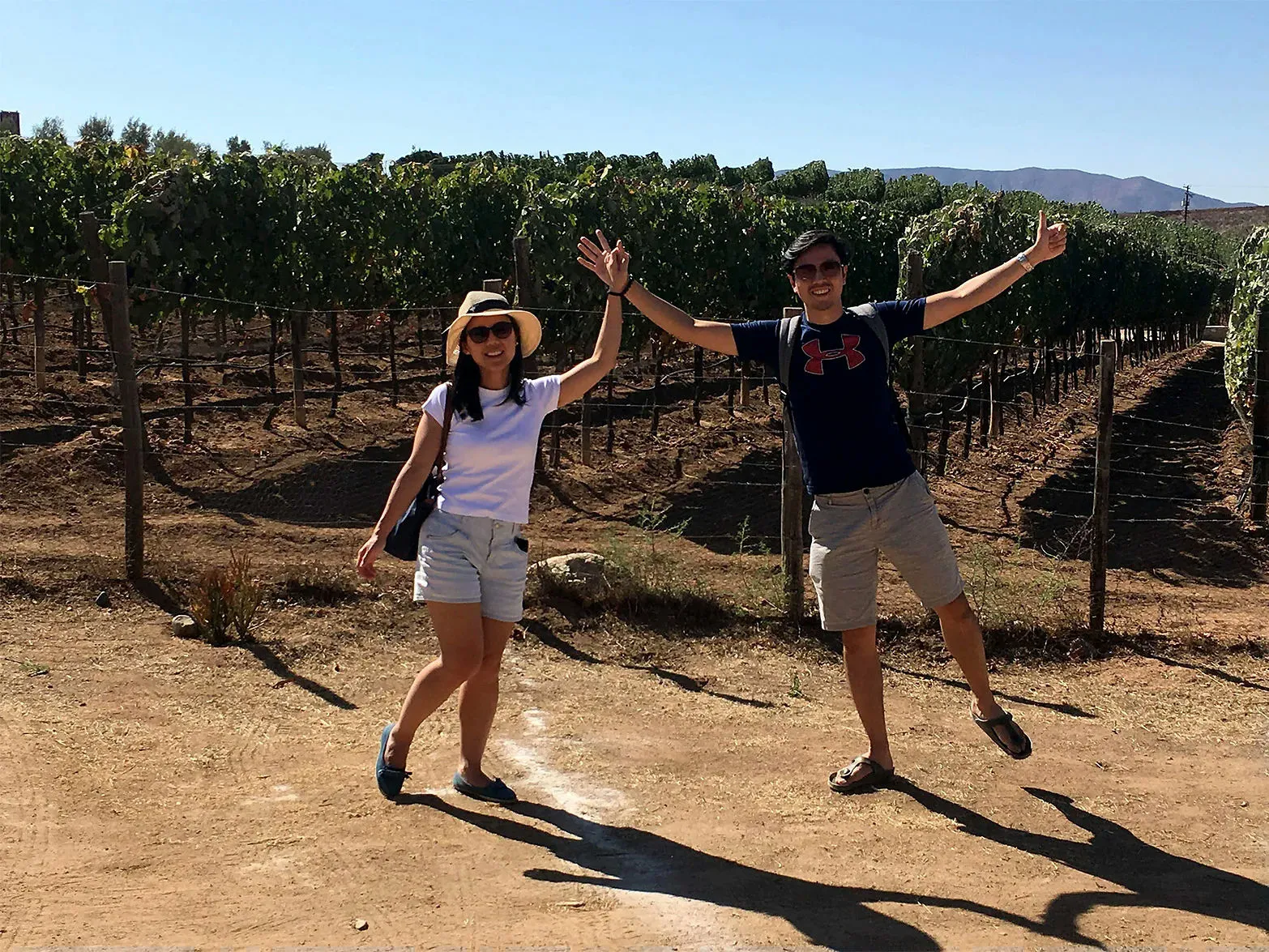 Valle De Guadalupe Wine Tasting - Image 3