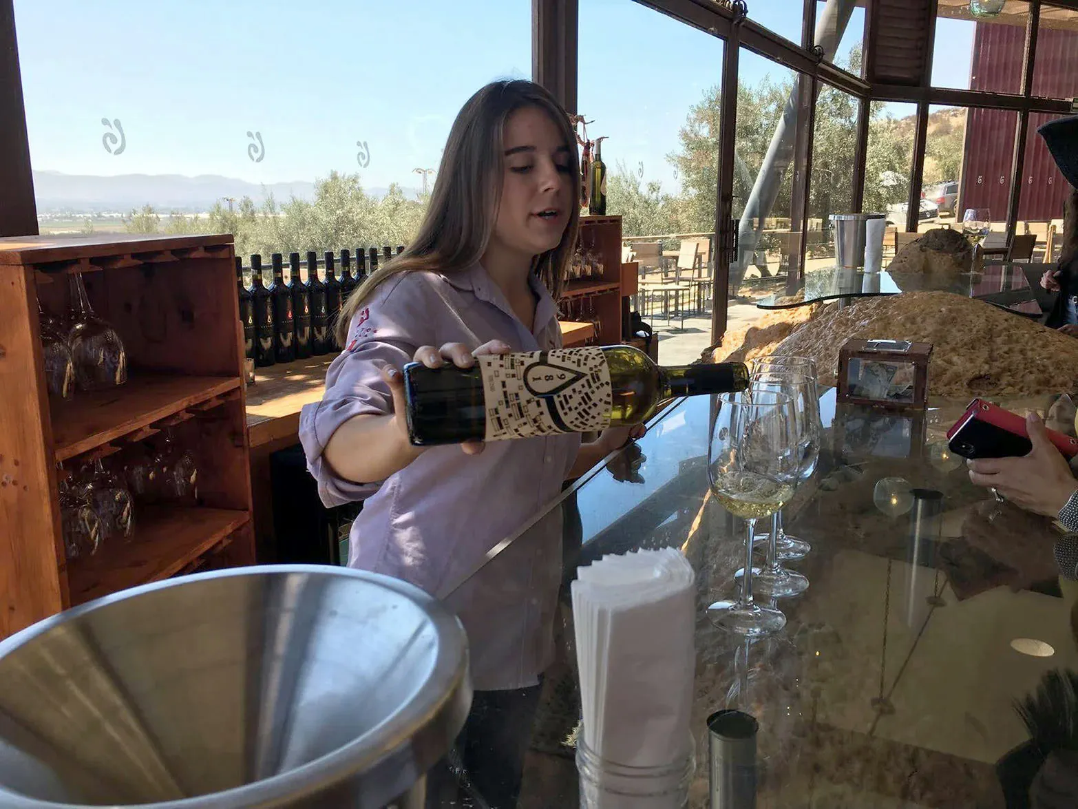 Valle De Guadalupe Wine Tasting - Image 5