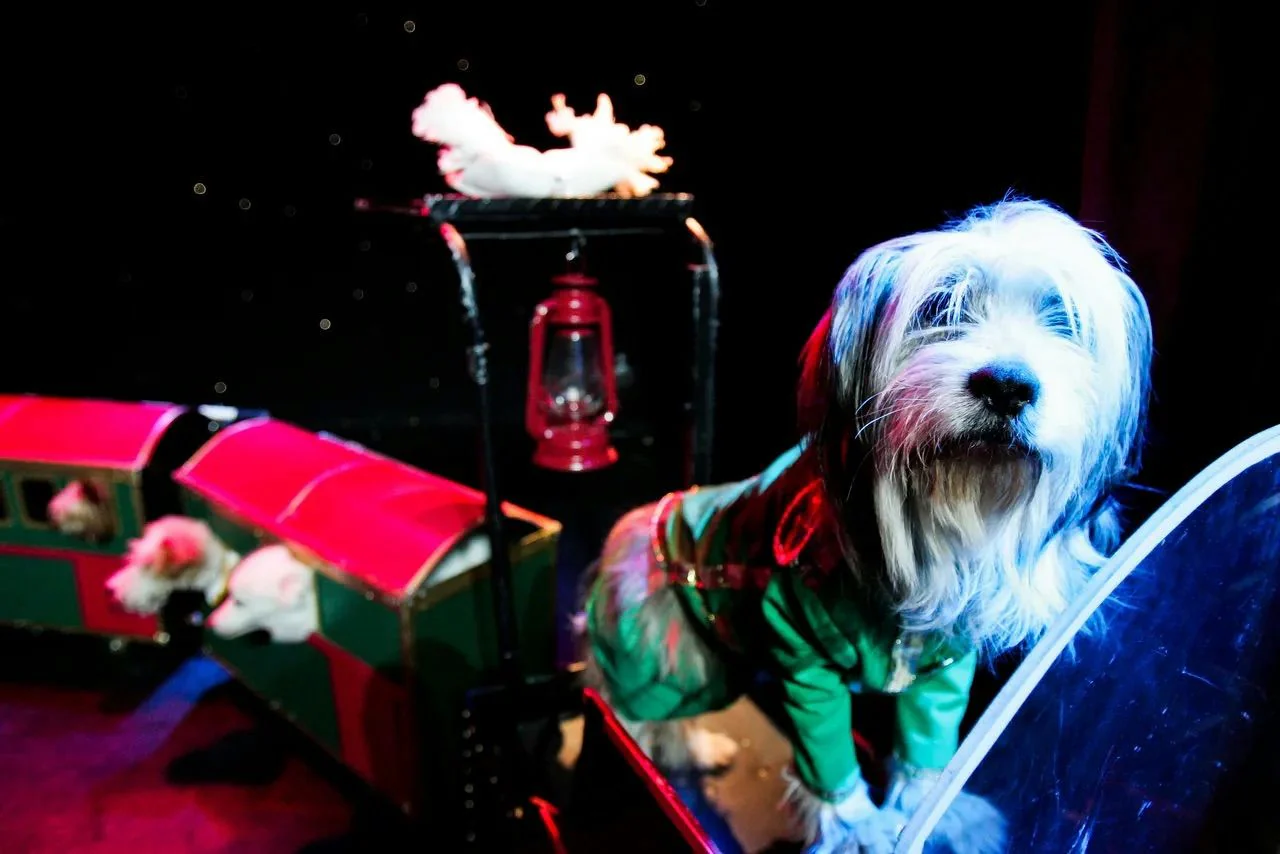 VIP Ticket to Comedy Pet Theater Show - Image 3