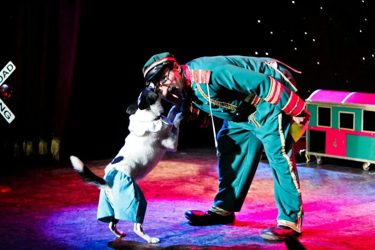 VIP Ticket to Comedy Pet Theater Show - Image 4